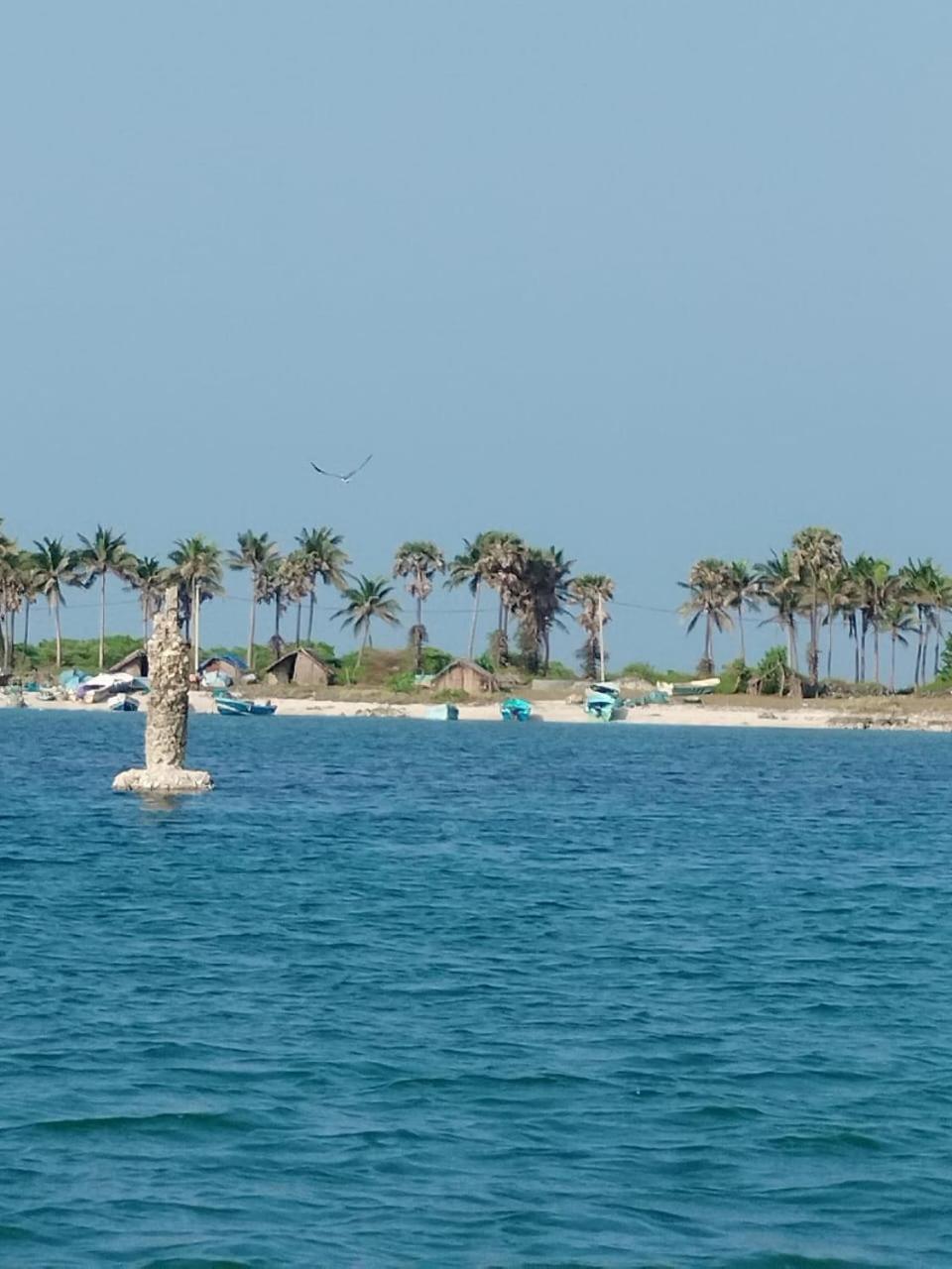 Delft Jeyam Resorts Delft East Eksteriør billede